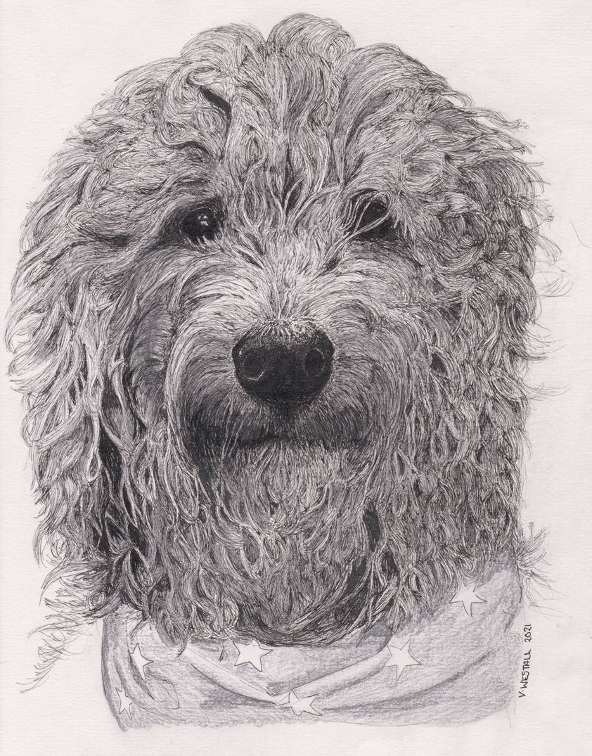 art by vicki westall